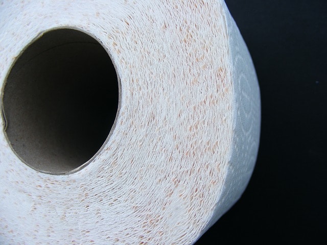 papier-toilette-sanibroyeur jeter papier toilette sanibroyeur