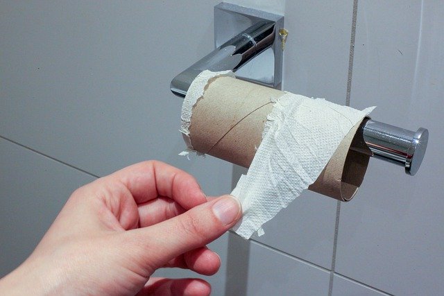 sanibroyeur-papier-toilette papier toilette sanibroyeur