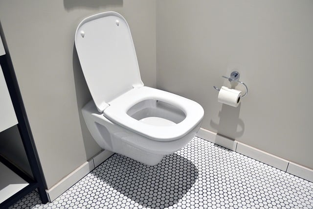 Toilette classique Nettoyage toilette