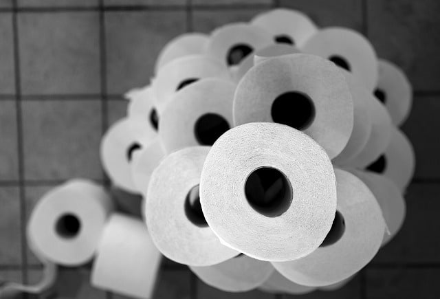 papiers toilettes entretien WC broyeur