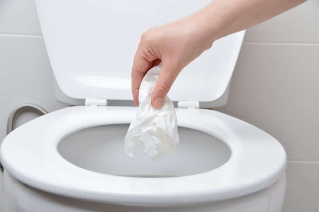 ne pas jeter n'importe quoi dans le sanibroyeur